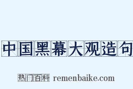 中国黑幕大观造句是什么意思的图片
